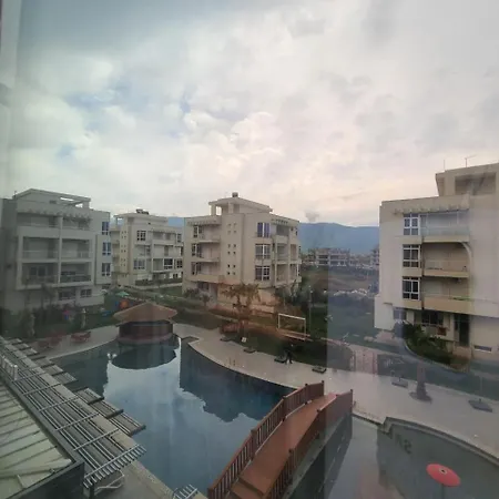 Jl Tirana